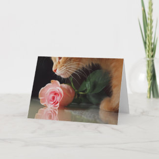 Cartes Pour Fêtes Annuelles Mon drôle de Valentine