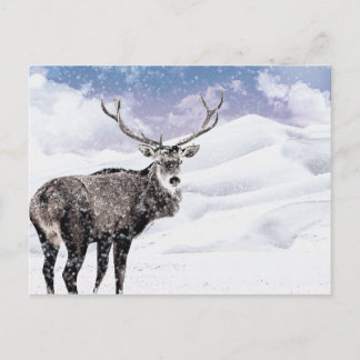 Cartes Pour Fêtes Annuelles Mon hivernage de Noël !