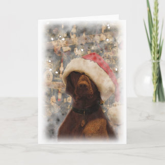 Cartes Pour Fêtes Annuelles Mon Joyeux Noël Vizsla