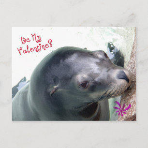 Cartes Pour Fêtes Annuelles Mon phoque Valentine