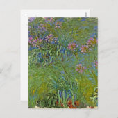 Cartes Pour Fêtes Annuelles Monet - Agapanthus Fleurs, (Devant / Derrière)