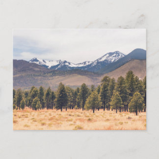 Cartes Pour Fêtes Annuelles Montagnes de San Francisco