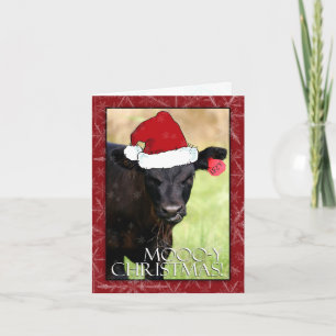 Cartes Pour Fêtes Annuelles Mooo-y Christmas !
