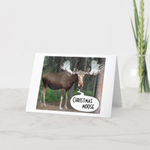 CARTES POUR FÊTES ANNUELLES MOOSE A CHERCHÉ SES ANTLERS POUR VOTRE NOËL