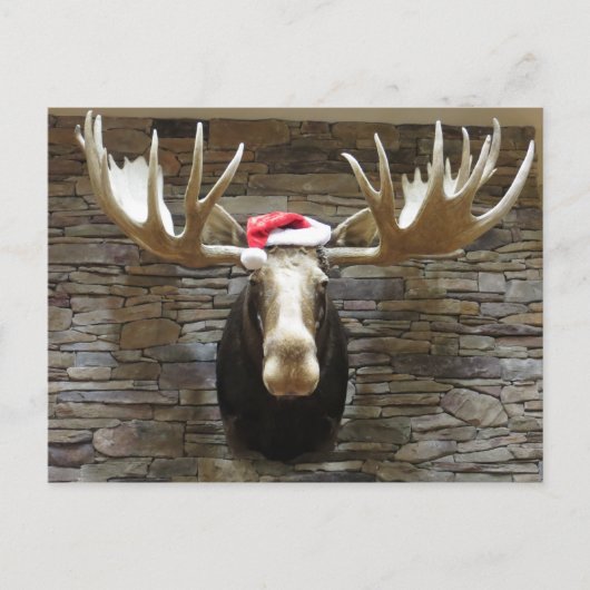 Cartes Pour Fêtes Annuelles Moose de Noël (Devant)