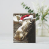 Cartes Pour Fêtes Annuelles Moose de Noël (Debout devant)
