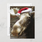 Cartes Pour Fêtes Annuelles Moose de Noël (Devant / Derrière)