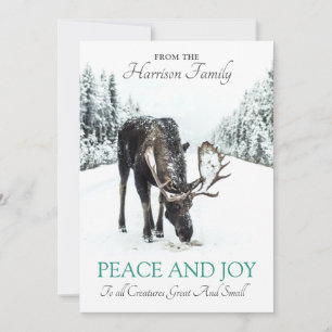 Cartes Pour Fêtes Annuelles Moose En Hiver Neige Noël Paix Joie