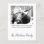 Cartes Pour Fêtes Annuelles Moose In Winter Snow Christmas Greeting<br><div class="desc">Moose in snow photograph Christmas holiday greeting with your family name added in a trendy script typography. Personalize with your family name.</div>