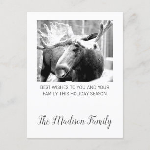 Cartes Pour Fêtes Annuelles Moose In Winter Snow Christmas Greeting
