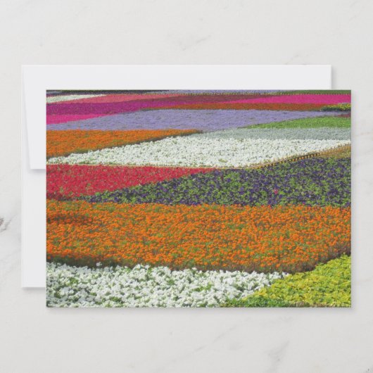 Cartes Pour Fêtes Annuelles Moquette à fleurs (Devant)
