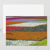 Cartes Pour Fêtes Annuelles Moquette à fleurs (Devant / Derrière)