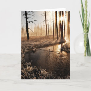 Cartes Pour Fêtes Annuelles Morceau de Yellowstone gelé