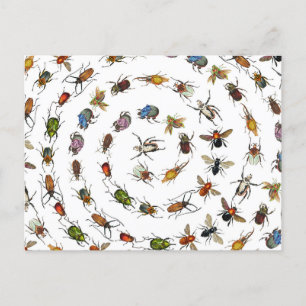 Cartes Pour Fêtes Annuelles Motif coloré de bugs et de coléoptères Vintages