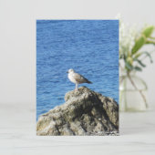 Cartes Pour Fêtes Annuelles Mouette (Debout devant)