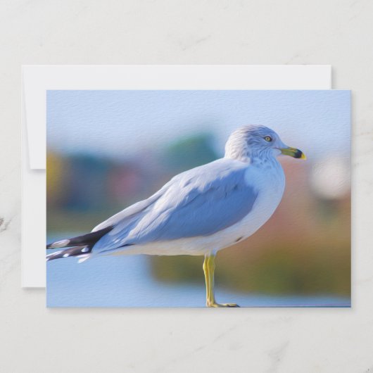 Cartes Pour Fêtes Annuelles Mouette (Devant)