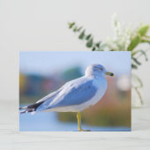 Cartes Pour Fêtes Annuelles Mouette (Debout devant)