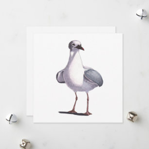 Cartes Pour Fêtes Annuelles Mouette