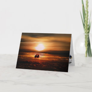 Cartes Pour Fêtes Annuelles Mouettes - Lovebirds au coucher du soleil Saint-Va