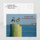 Cartes Pour Fêtes Annuelles Mouettes riantes (Devant / Derrière)