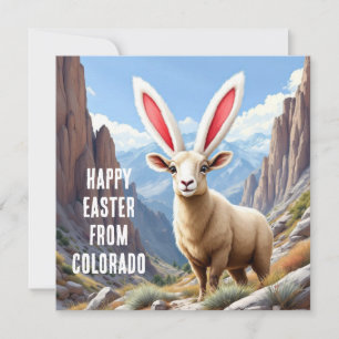 Cartes Pour Fêtes Annuelles Mouflon du Colorado à l'oreille d'un lapin