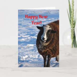 Cartes Pour Fêtes Annuelles Mouton de Nouvel An