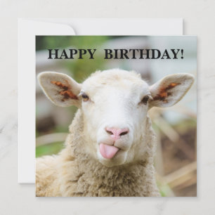 Cartes Pour Fêtes Annuelles Mouton montre la langue