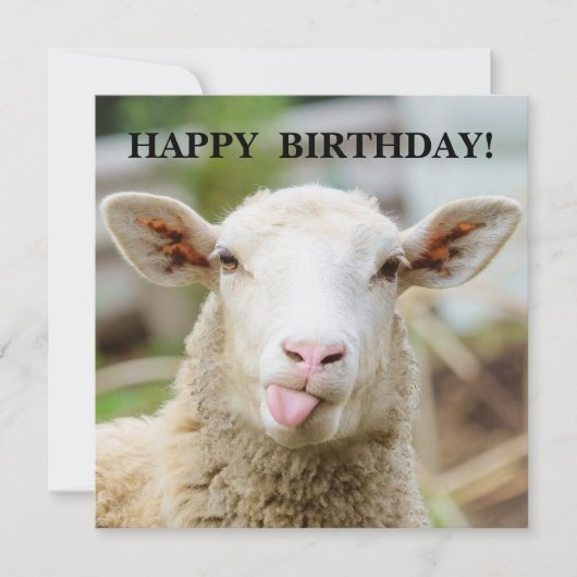 Cartes Pour Fêtes Annuelles Mouton montre langue (Devant)