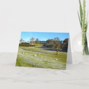 Cartes Pour Fêtes Annuelles Moutons dans une vallée gelée