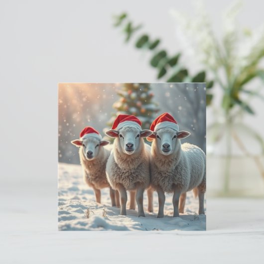 Cartes Pour Fêtes Annuelles Moutons de Noël (Debout devant)