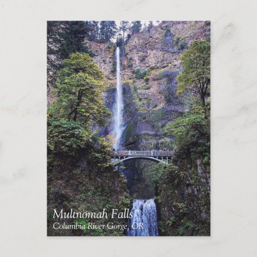 Cartes Pour Fêtes Annuelles Multnomah Falls (Devant)