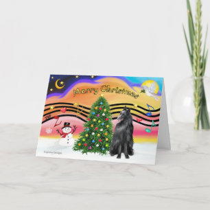 Cartes Pour Fêtes Annuelles Musique de Noël 2 - Berger belge