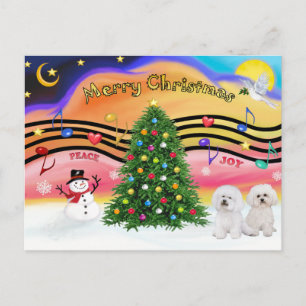 Cartes Pour Fêtes Annuelles Musique de Noël 2 - Bichon Frise (deux)