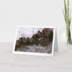 Cartes Pour Fêtes Annuelles Muskrat Christmas Quirky