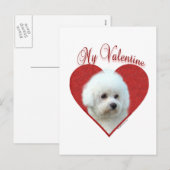 Cartes Pour Fêtes Annuelles My Bichon Frise Valentine (Devant / Derrière)