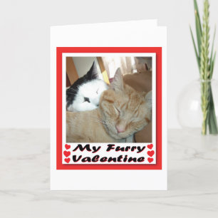 Cartes Pour Fêtes Annuelles My Furry Valentine