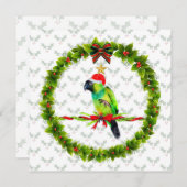 Cartes Pour Fêtes Annuelles Nanday Conure Père Noël avec Holly Feuilles et Wre (Devant / Derrière)