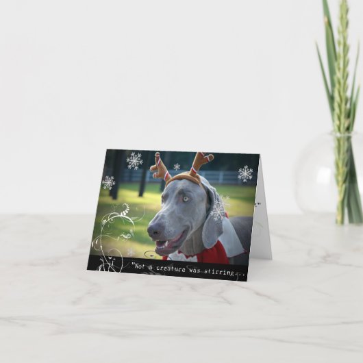 Cartes Pour Fêtes Annuelles Nation de Weimaraner : "Pas une créature remuait… (Devant)