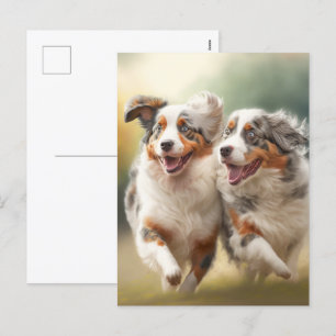 Cartes Pour Fêtes Annuelles National Australian Shepherd Day, Chiens Australie