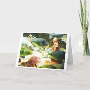 Cartes Pour Fêtes Annuelles Nativité sous-marine