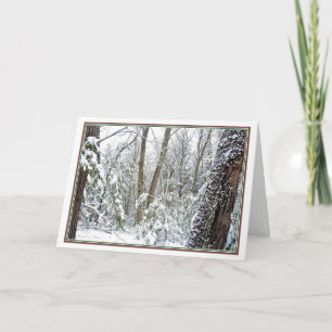 Cartes Pour Fêtes Annuelles ***Nature : Vivez chaque saison : Walden Pond