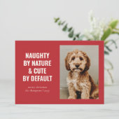 Cartes Pour Fêtes Annuelles Naughty and mignon Funny Chien Photo de Noël (Debout devant)