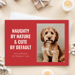 Cartes Pour Fêtes Annuelles Naughty and mignon Funny Chien Photo de Noël