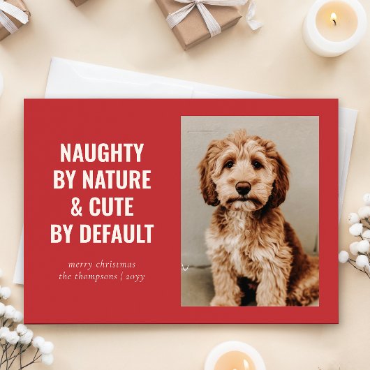 Cartes Pour Fêtes Annuelles Naughty and mignon Funny Chien Photo de Noël