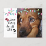 Cartes Pour Fêtes Annuelles Naughty Dog Funny Dear Santa Letter Photo Dog Name<br><div class="desc">Humorous dog Phoholiday greeting postcard featuring a photo of your dog with the saying "Dear Santa, the cat did it." et signed by your dog. The back has an editable YAPPY HOWLIDAYS greeting and a place to add a personal message or the sample text can be deleted to leave the...</div>