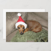 Cartes Pour Fêtes Annuelles Naughty list - Le Reluctant Père Noël Dachshund (Devant / Derrière)