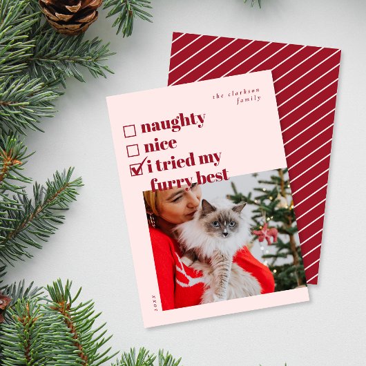 Cartes Pour Fêtes Annuelles Naughty, Nice, J'ai essayé ma fureur