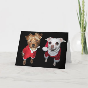 Cartes Pour Fêtes Annuelles Naughty or Nice Pups