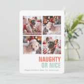 Cartes Pour Fêtes Annuelles Naughty or Nice Simple Pet 4 Photos Vacances (Debout devant)