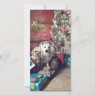 Cartes Pour Fêtes Annuelles Naughty ou Nice